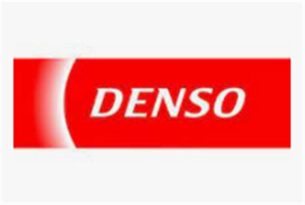 Denso Common Rail 095000-6360